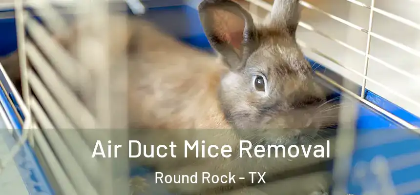  Air Duct Mice Removal Round Rock - TX
