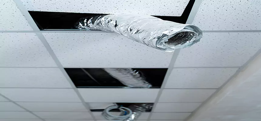 Affordable HVAC Sanitizing After Pest Removal in Round Rock