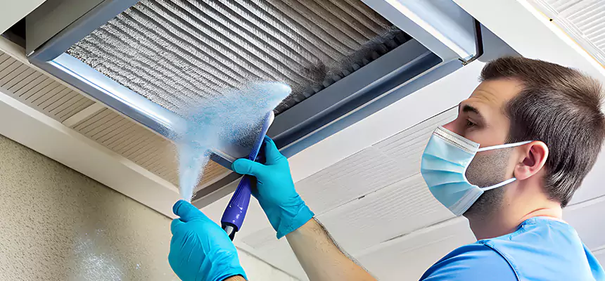 Proactive Dryer Vent & Auxiliary Duct Pollen Cleanup in Round Rock, TX