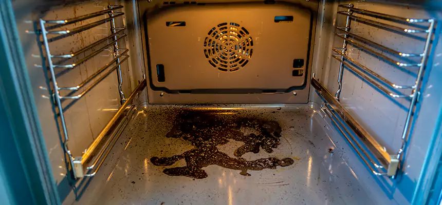 Our Dryer Vent Mold Cleaning Services in Round Rock, TX