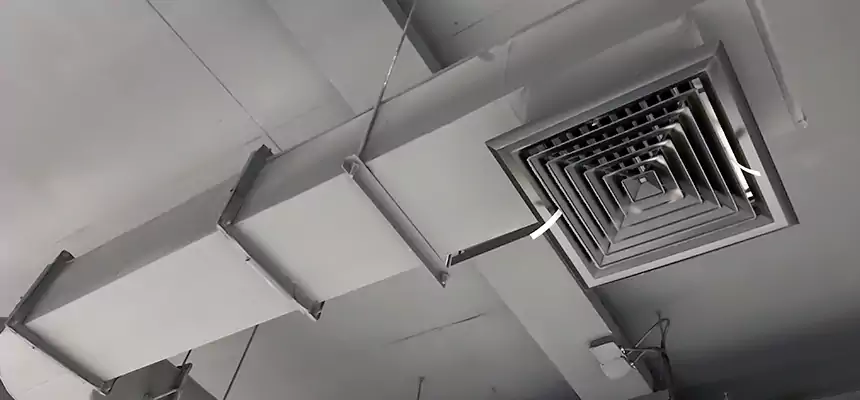 Our Pest Removal From Ducts Services in Round Rock, TX