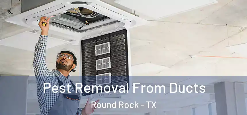  Pest Removal From Ducts Round Rock - TX