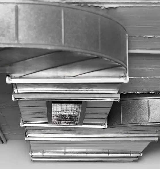 Professional Air Duct Pet Hair Removal in Round Rock, TX