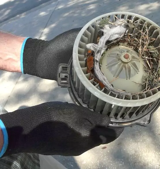 About Air Duct Rat Removal in Round Rock, TX