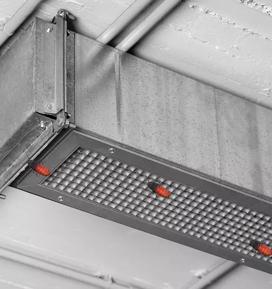 Affordable Insect Removal from Air Ducts in Round Rock, TX