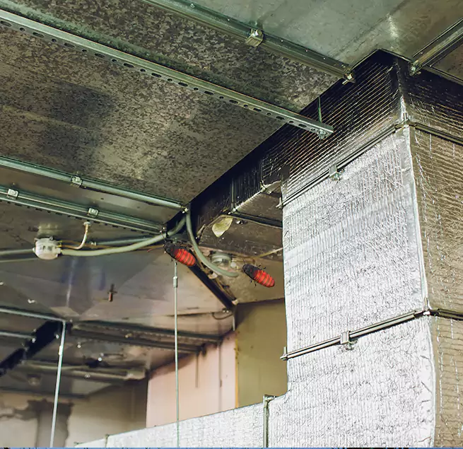 Why Homeowners & Businesses Trust Us in Round Rock, TX?