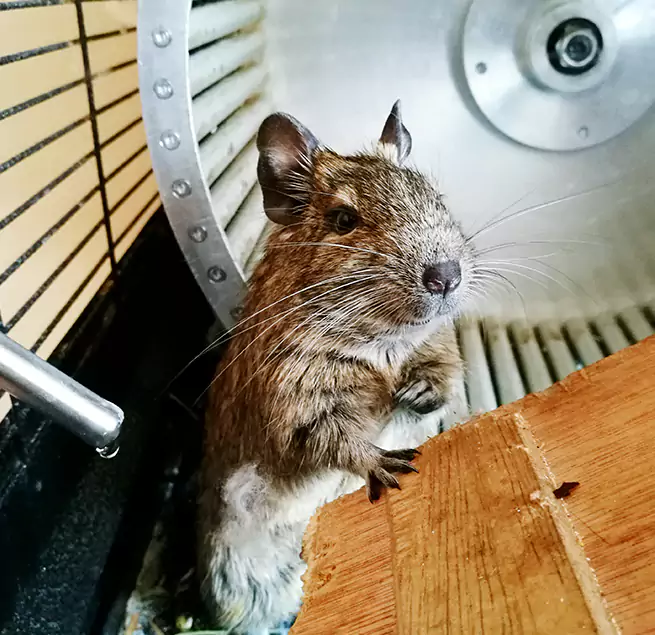 Why Homeowners & Businesses Trust Us Round Rock, TX?