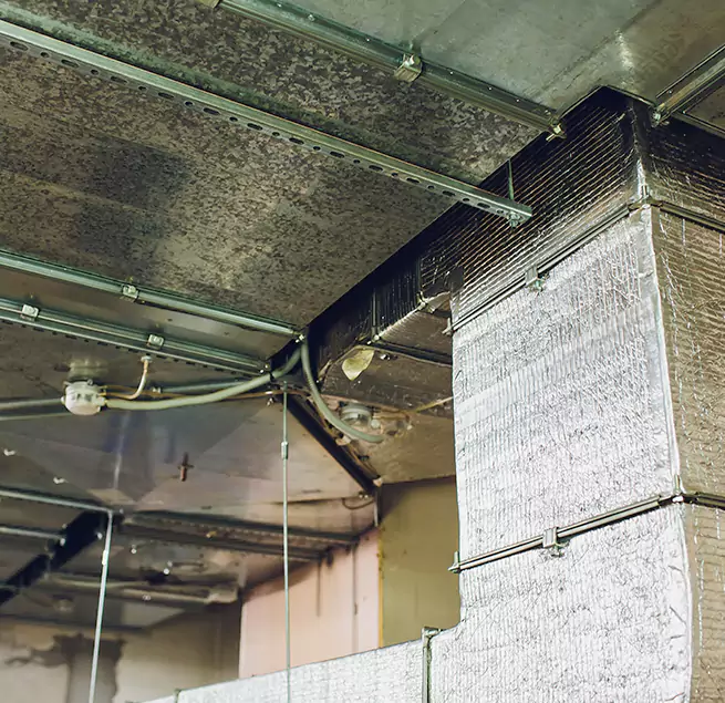 Why Homeowners & Businesses Trust Us in Round Rock, TX?